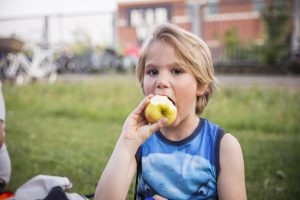 20170518 avond4daagse huizen-72dpi-0298